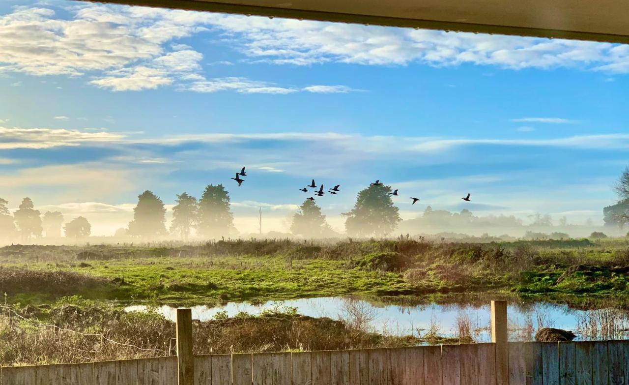 Radiata Homestay Hamilton Dış mekan fotoğraf